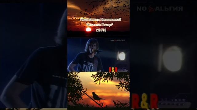 ночная птица