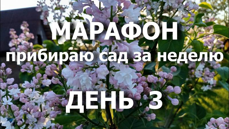 Марафон "Прибираю сад за неделю" День 3