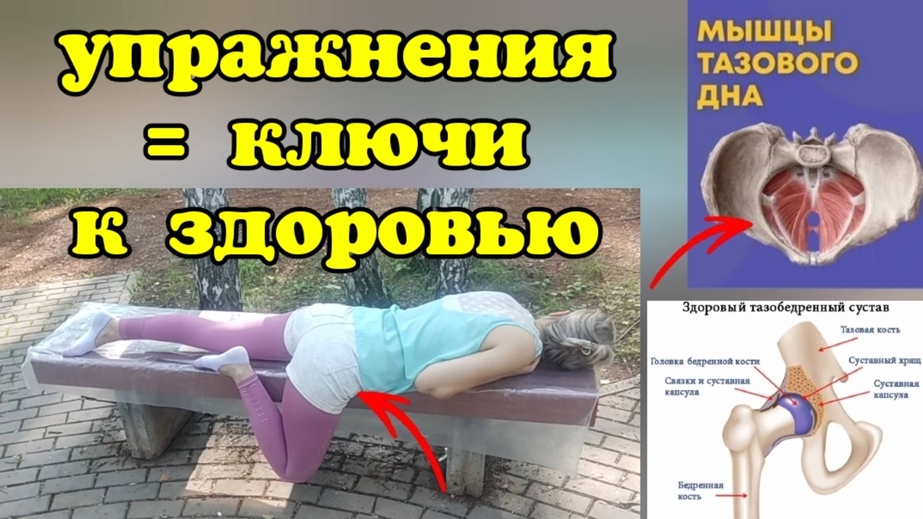 Ключи к здоровью тазобедренного сустава = средняя ягодичная, гребенчатая и лобково-копчиковая мышцы