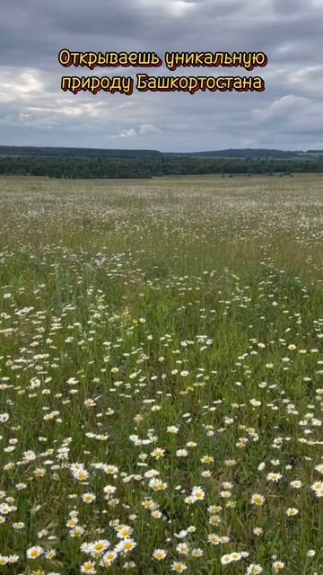 И среди тысяч островов я выберу свое, родное 💔