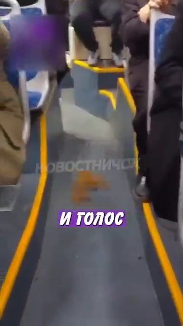 Новостничок (161)