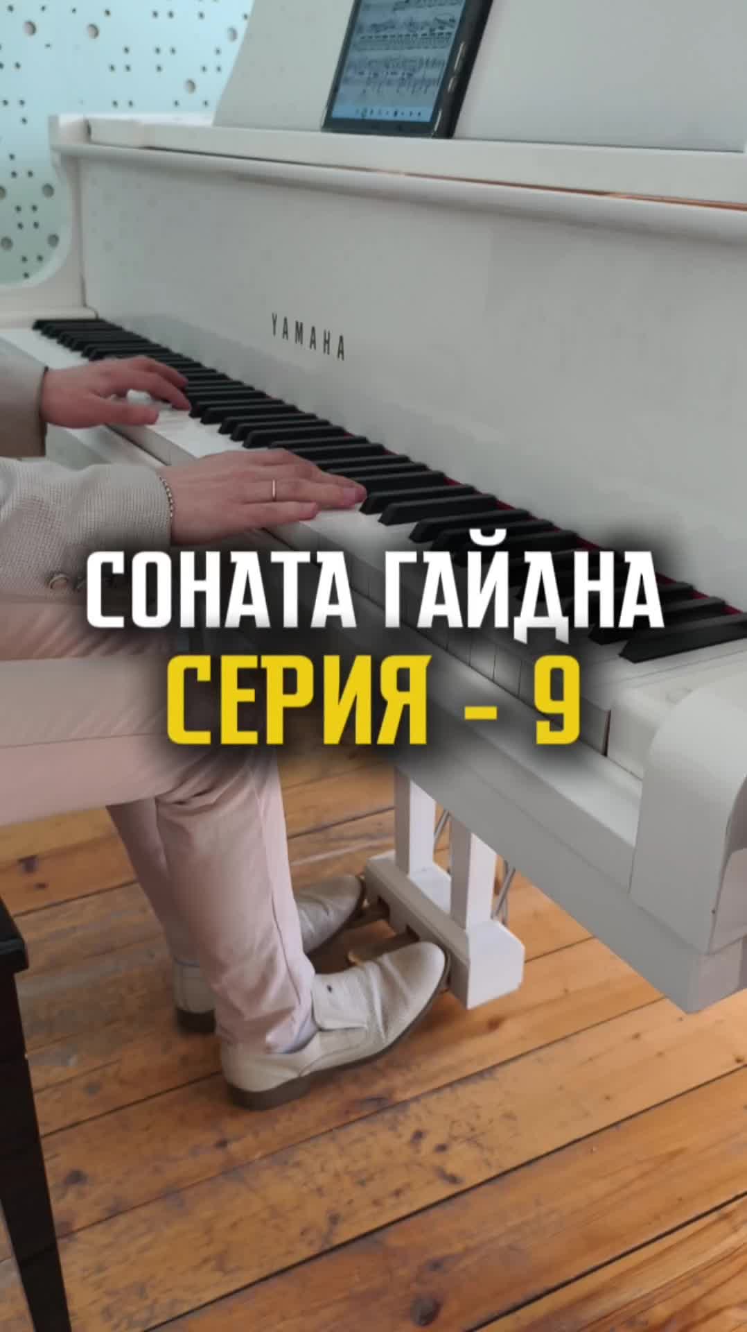 Соната Гайдна - Серия 9