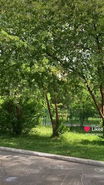 Дул ветер