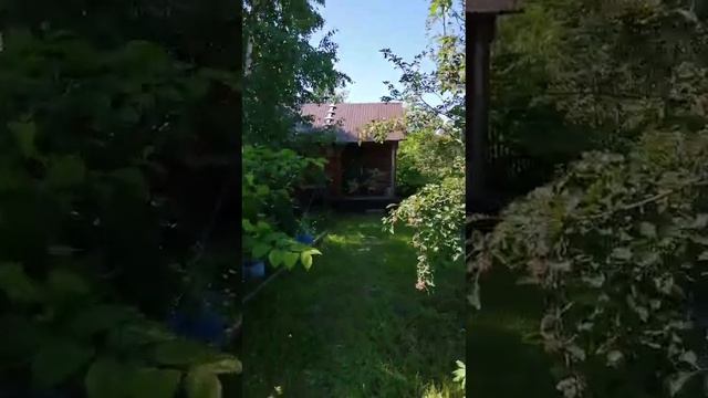 VID-20250522-WA0004.mp4