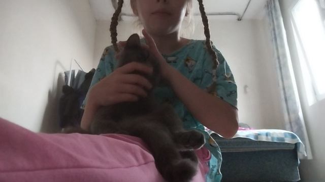 обзор
