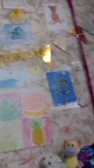 VID_20250601_161648.mp4