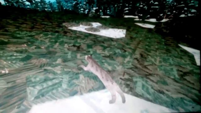 Shelter 2. Легко ли быть рысью?