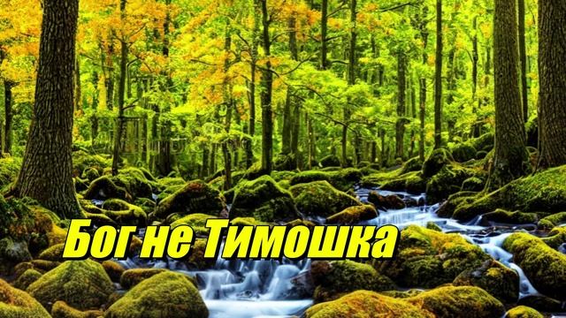 Бог  не  Тимошка