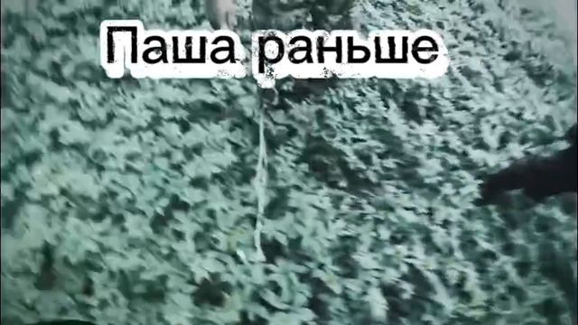 Паша и Макс сейчас и раньше