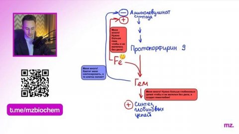 ОБМЕН ГЕМОГЛОБИНА за 12 МИНУТ // На Биохимическом