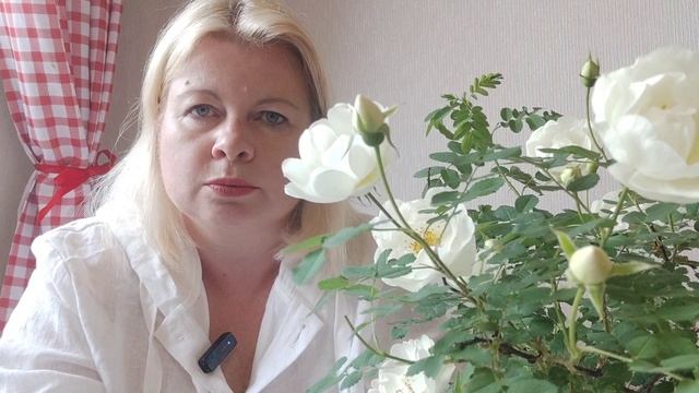 4й и 5й день голодания по Марве Оганян