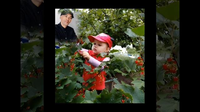 Рөстәм Ғәзизов - Балан әсе шул, балам