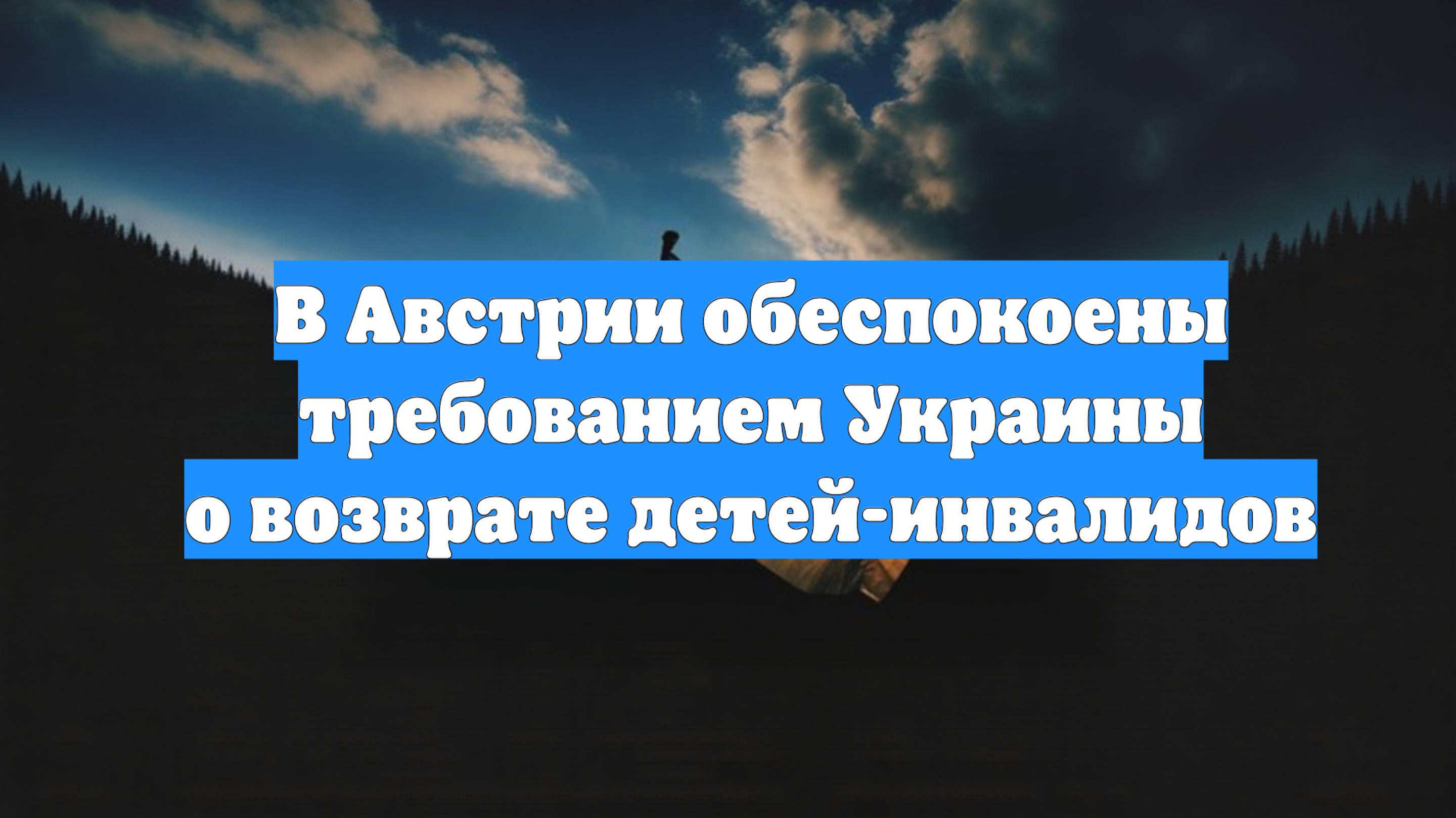 В Австрии обеспокоены требованием Украины о возврате детей-инвалидов