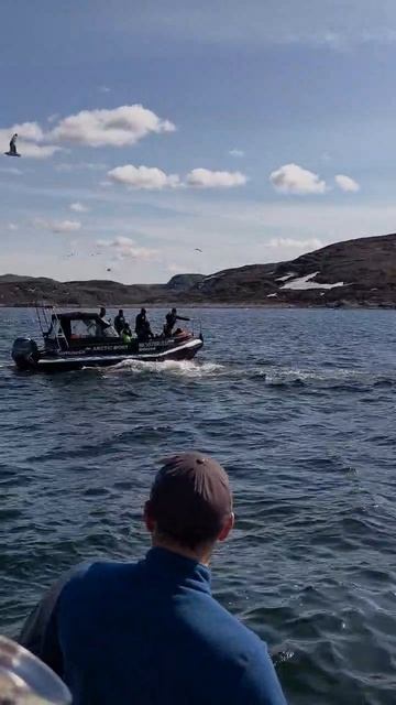 IMG_20250601_123201_937.mp4