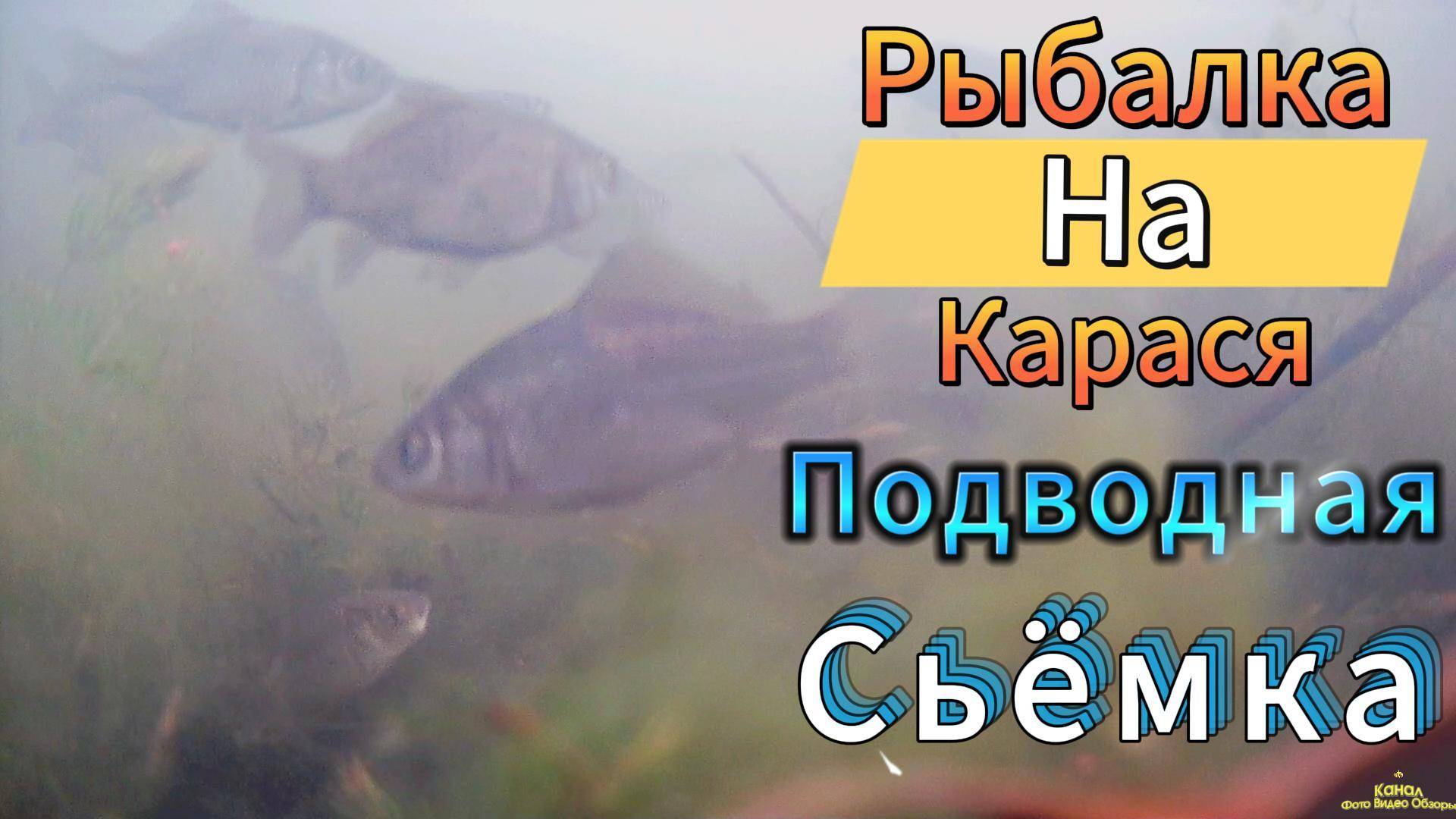 МАЙСКИЙ КАРАСЬ ПОСЛЕДНЯЯ РЫБАЛКА ПОПЛАВОЧНАЯ УДОЧКА РАТАН ГУСТЕРА ДЛЯ ПОИСКА ВЗЯЛ КАМЕРУ FOKUSFISH