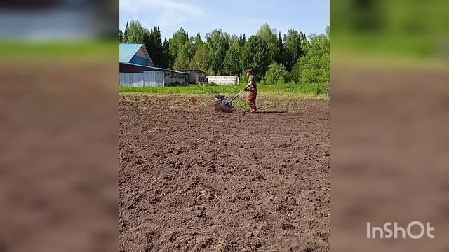 Сажаем картошку ✌