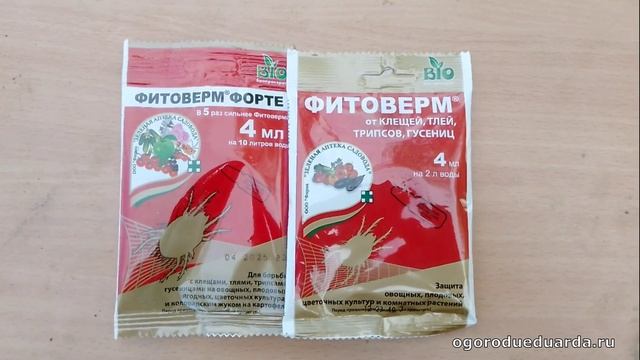 Фитоверм настоящий спаситель для садоводов и огородников  в борьбе с вредителями