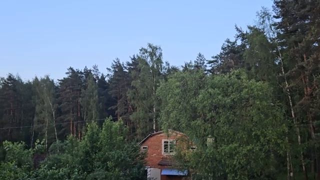 РОДНЯ ИЛИ ВРАГИ?... ВЕДЬМИНА ИЗБА ИНГА ХОСРОЕВА