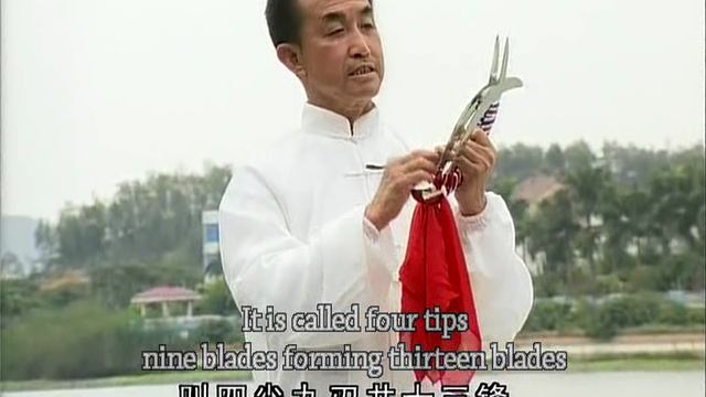 Багуачжан линии мастера Ша Гочжена. Ч 1