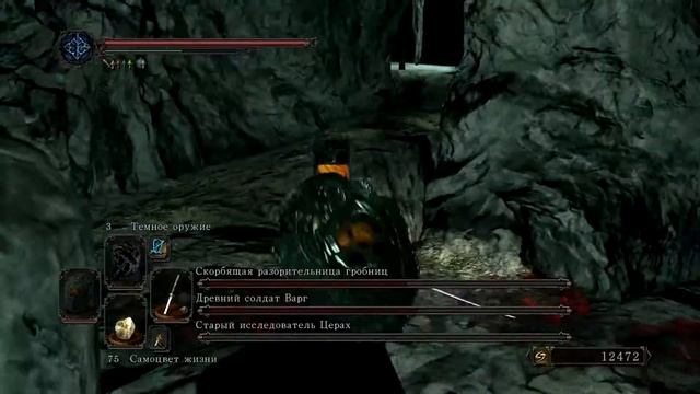 DarkSouls II SotFS A2.55 [16+] (Последние секреты Святилища Дракона