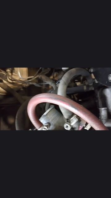 scene_output.mp4