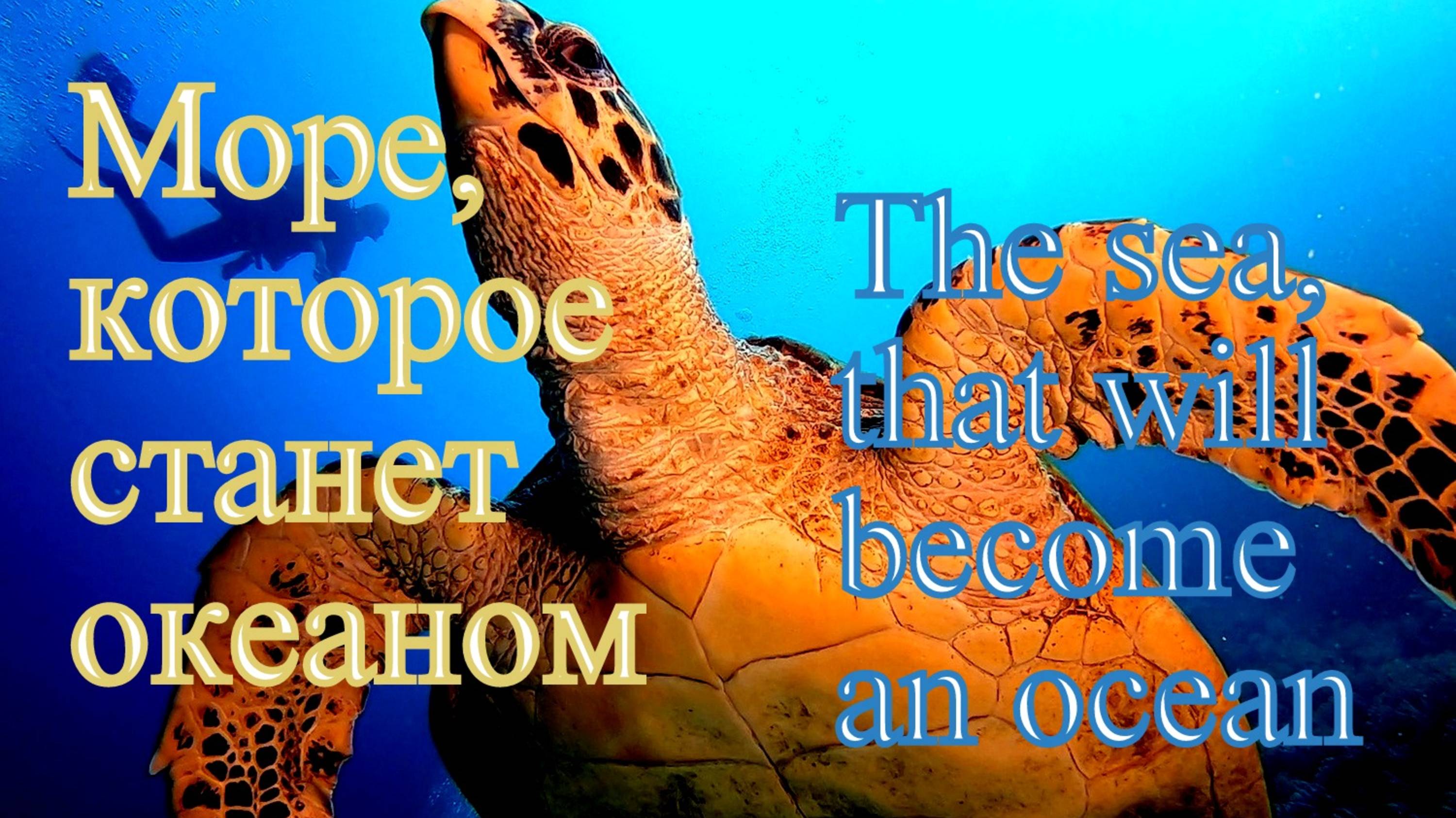 Море, которое станет океаном.