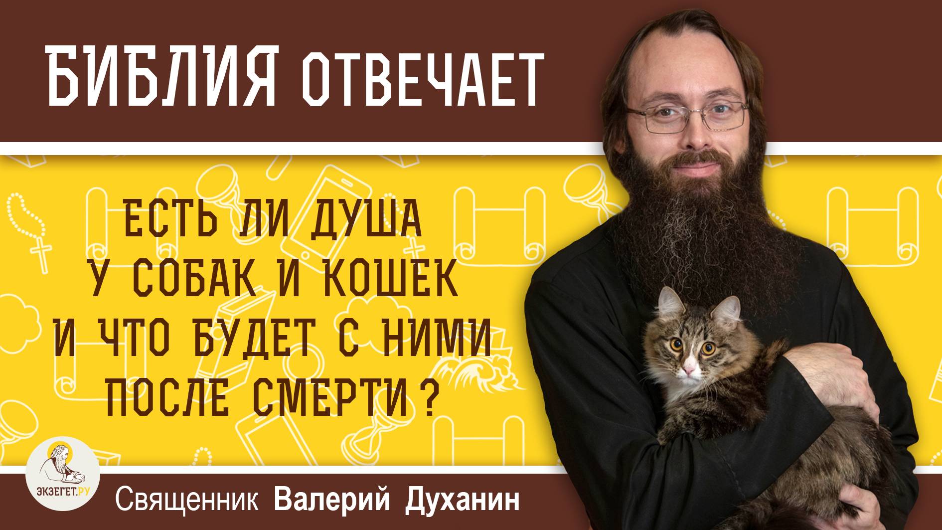 Есть ли душа у собак и кошек и что будет с ними после смерти ? Священник Валерий Духанин