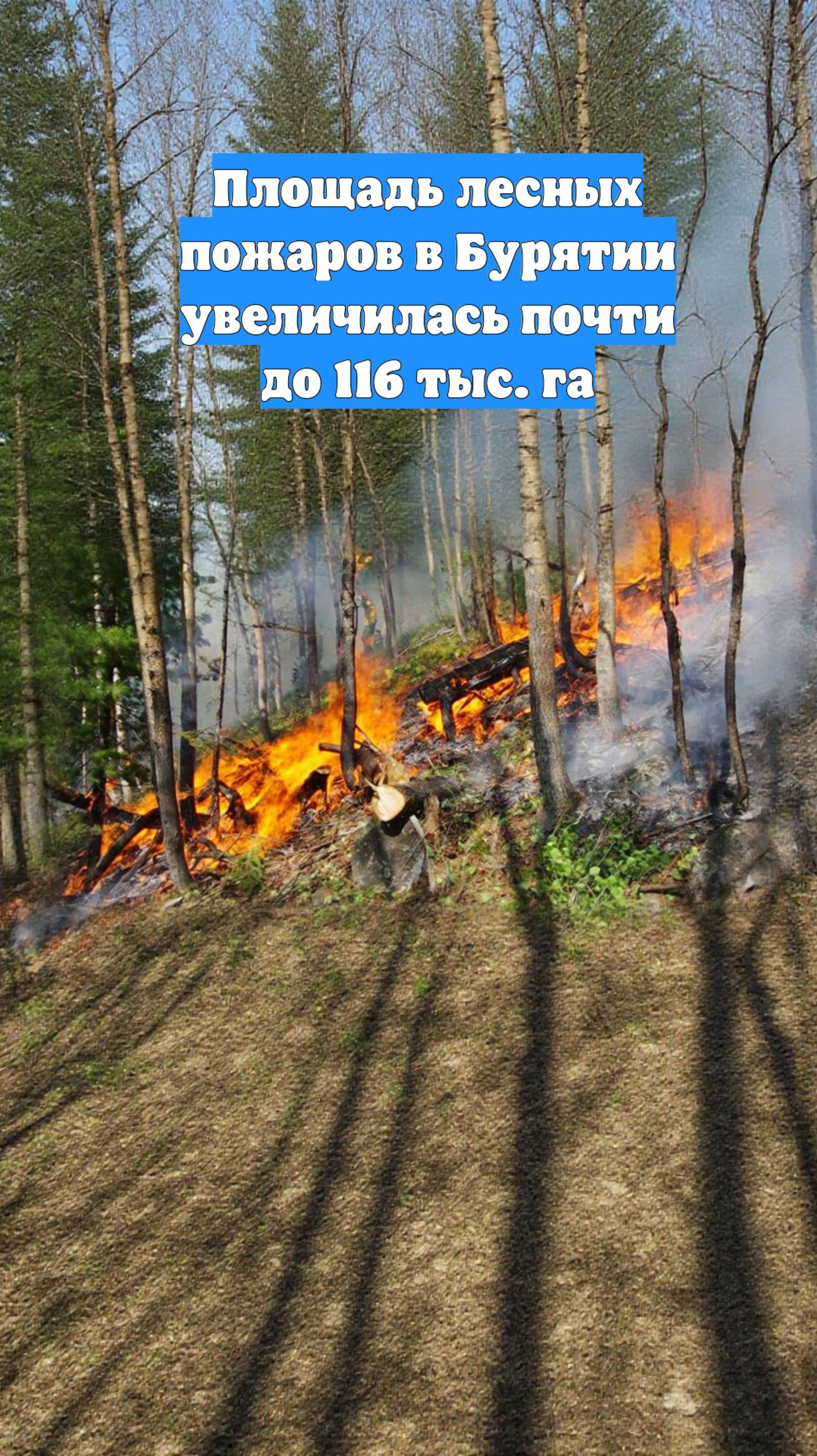 Площадь лесных пожаров в Бурятии увеличилась почти до 116 тыс. га