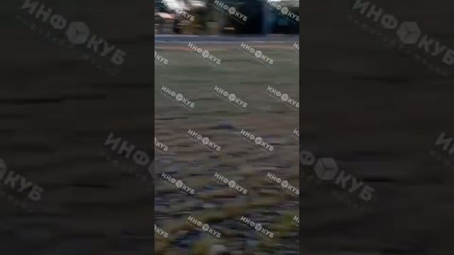 Водитель погиб в ДТП в Гулькевичском районе ночью 1 июня