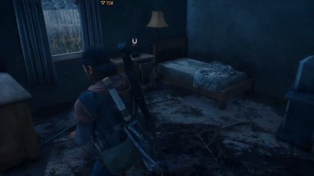 DAYS GONE парочка случайных орд