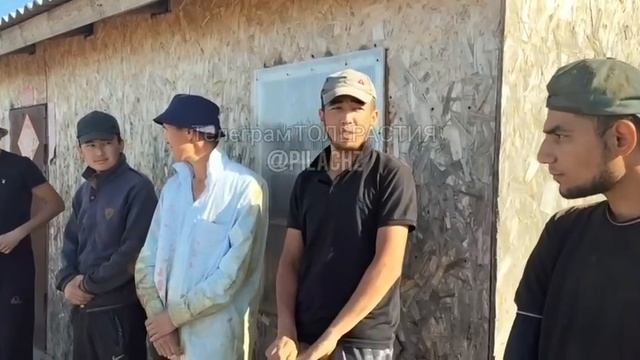 "Сколько букв в русском алфавите?" !!!