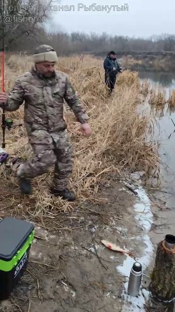 Ловля окуня на силиконового рака