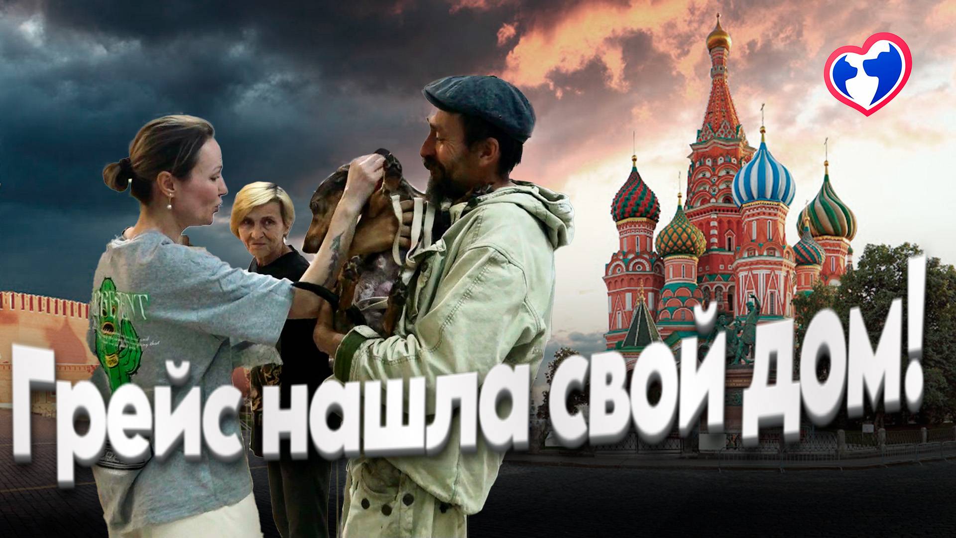 Грейс нашла свой дом! История спасения собаки с диабетом