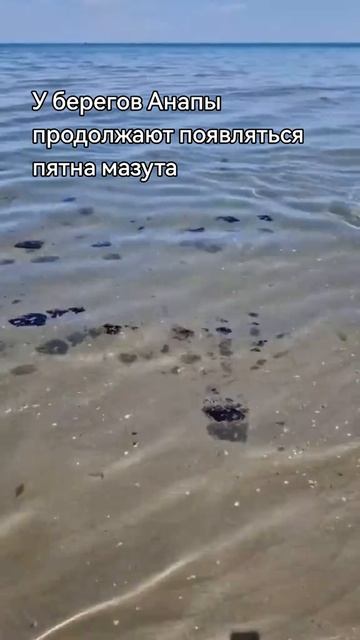 Тамань 365 / В Анапе опять пятна мазута в Чёрном море