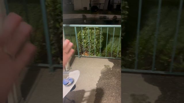 Утиные истории