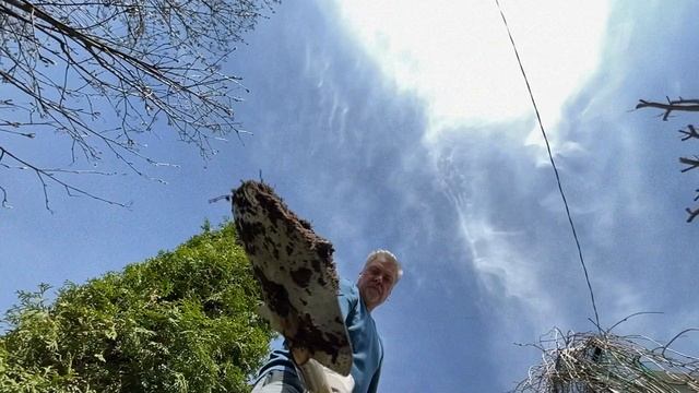 Работаем на грядках бережем спину Доброе утро Фрагмент выпуска о