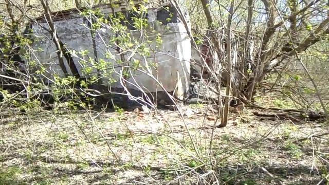В деревне. Старое видео 19 года, но это моя история.