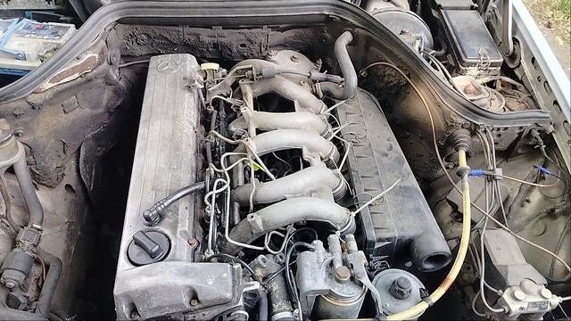1000002861.mp4