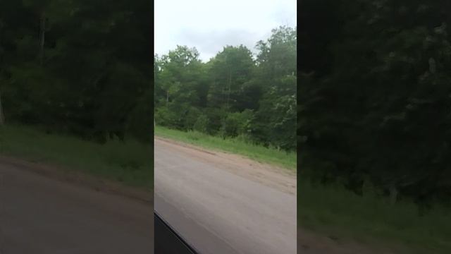 Возвращаемся на дачу