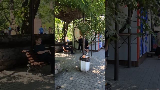 1 июня выставка собак в Бердянске
