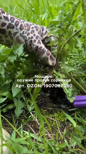Корнеудалитель Nikoma

Артикул OZON - 1907067080
Артикул WB - 278288433