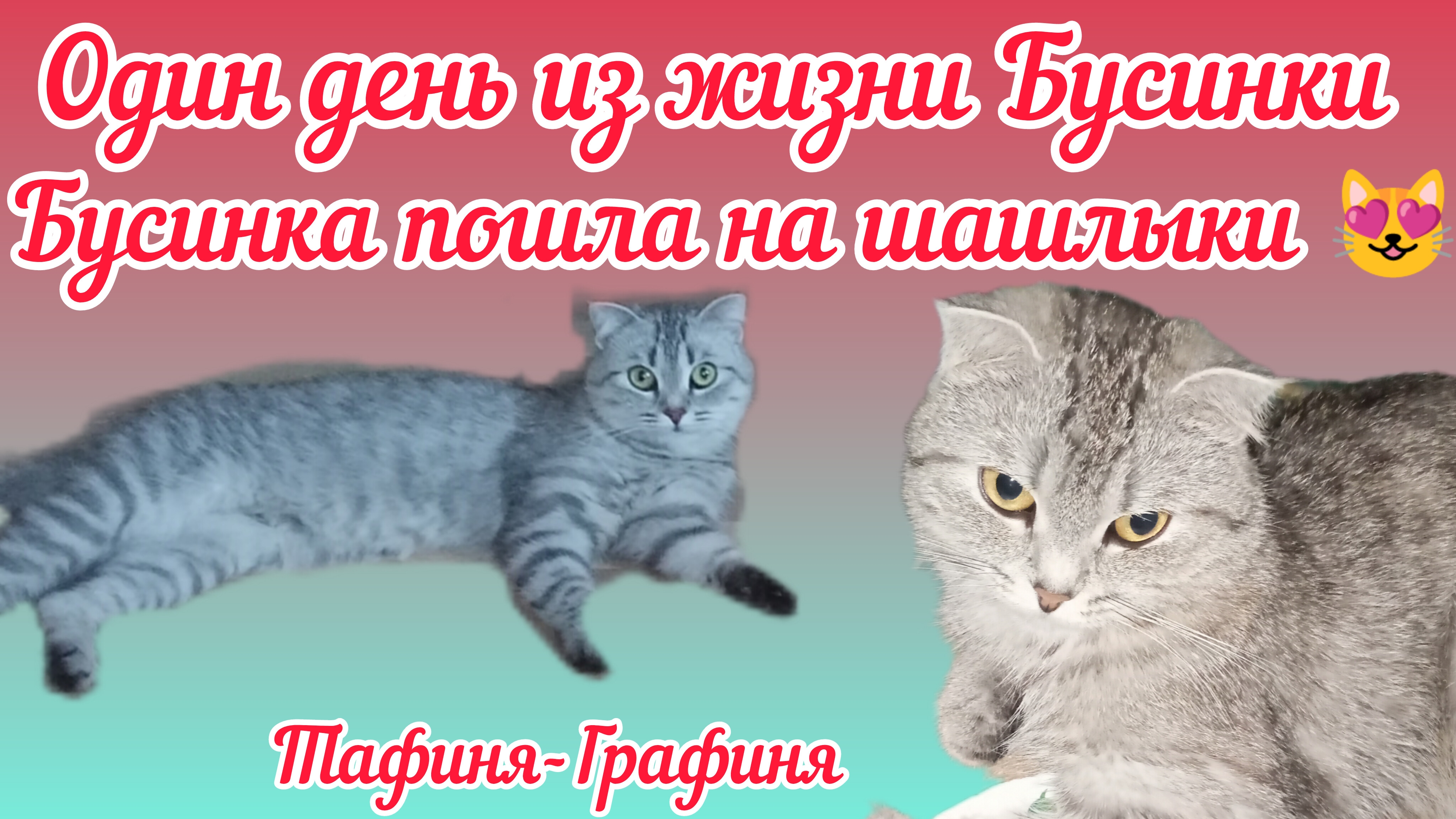 😻 Бусюша жарит шашлык 😻