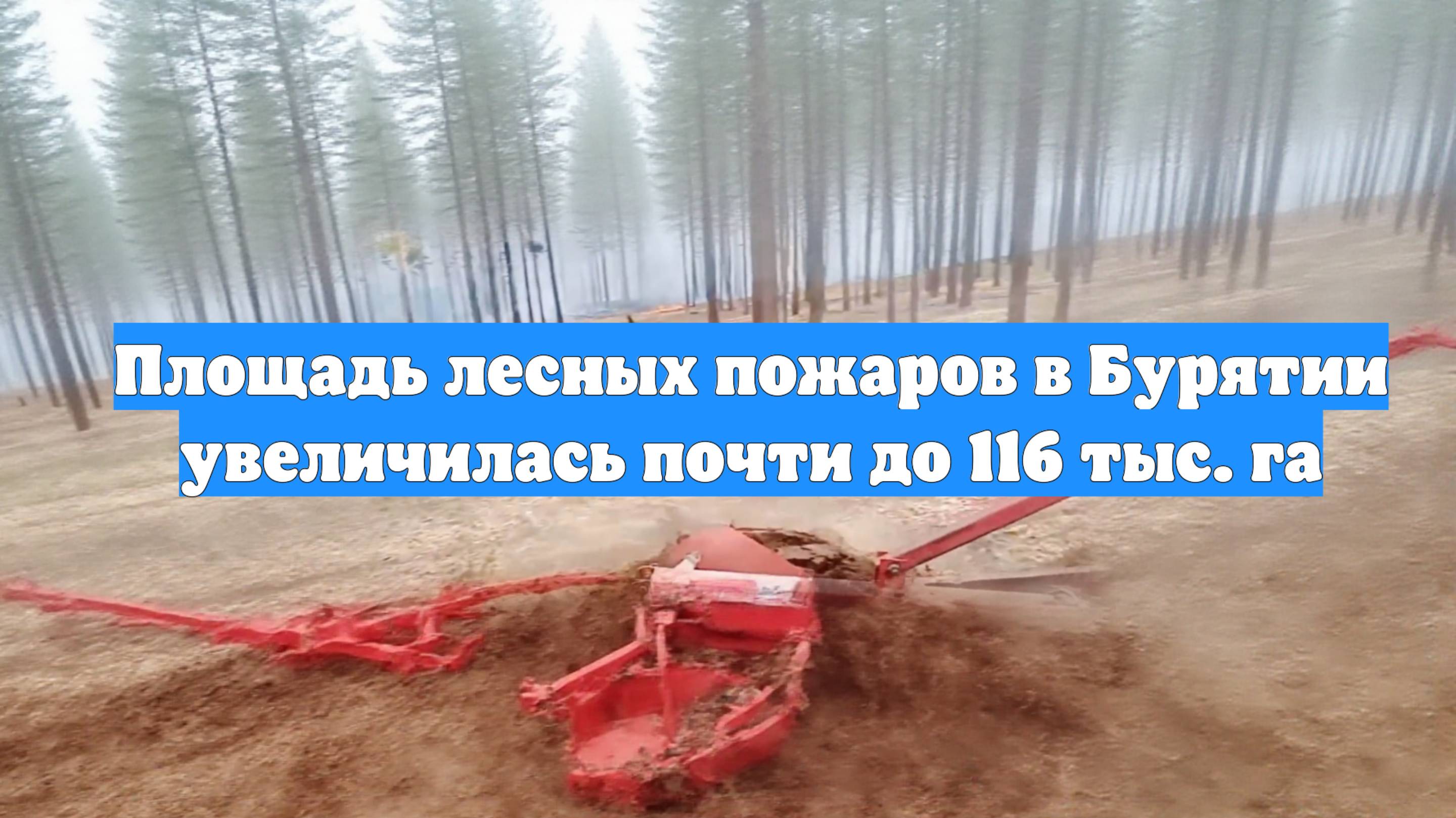 Площадь лесных пожаров в Бурятии увеличилась почти до 116 тыс. га