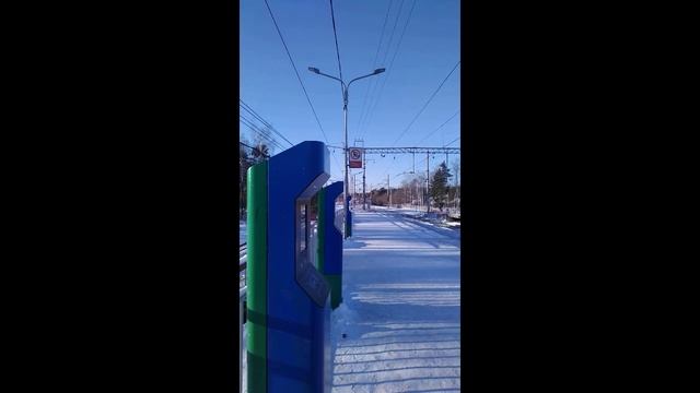 Научное доказательство. Бог дал человеку свободу. Дима Житейский. 21.01.2024
