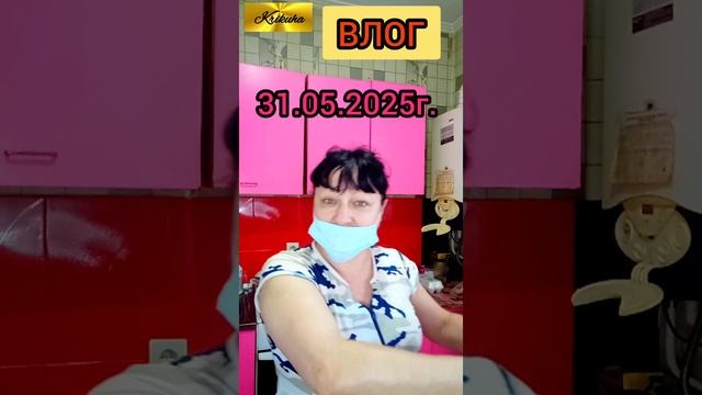 влог