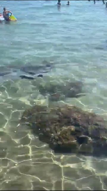 Нереально прозрачное море на юге Италии