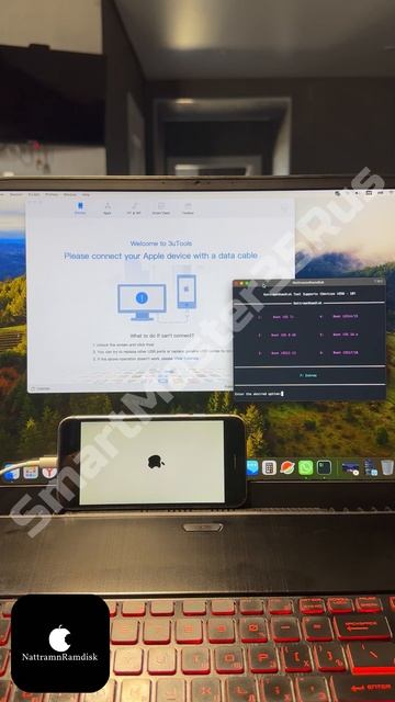 🔓 Разблокировка и обход iCloud блокировки (без сигнала) на iPhone 6S 16Gb Gold 🔓