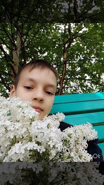 я правда не знал про закон!