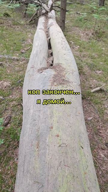 тяжело в лесу бывает...