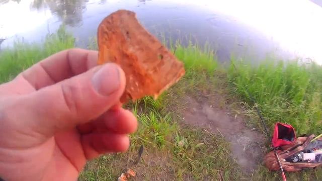 СРЕДСТВО ЗАЩИТЫ ОТ КОМАРОВ И МОШЕК на природе. Без химии. Доступно каждому.